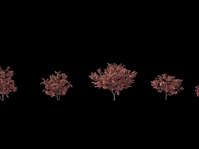 Arbor Trees With Red Foliage in Various Sizes and Natural Shapes 3d model