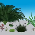 Various Green Plants Collection Including Ferns Palm Like Herbs And Lush Foliage