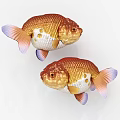 Two Vibrant Goldfish With Orange And White Bodies And Purple Fins On White Background