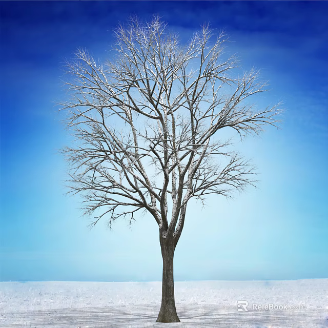 Leafless Tree With Snow Covered Branches Against Clear Blue Sky And Snowy Ground 3d model 