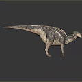 Dinosaur Model on Gray Background with Slender Body Long Tail Stripes Small Head Yellow Mouth