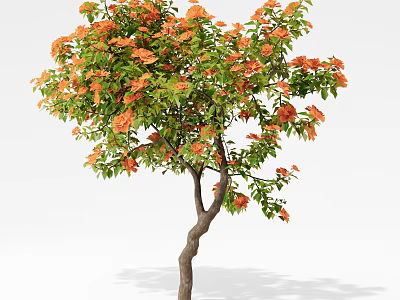 Beautiful Lush Tree With Orange Flowers Green Leaves And Curved Trunk 3d model