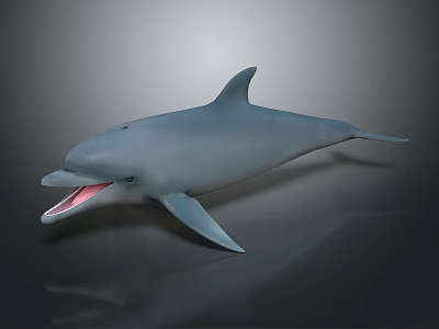 Gray Dolphin with Open Mouth and Pink Interior on Gray Background with Reflection 3d model