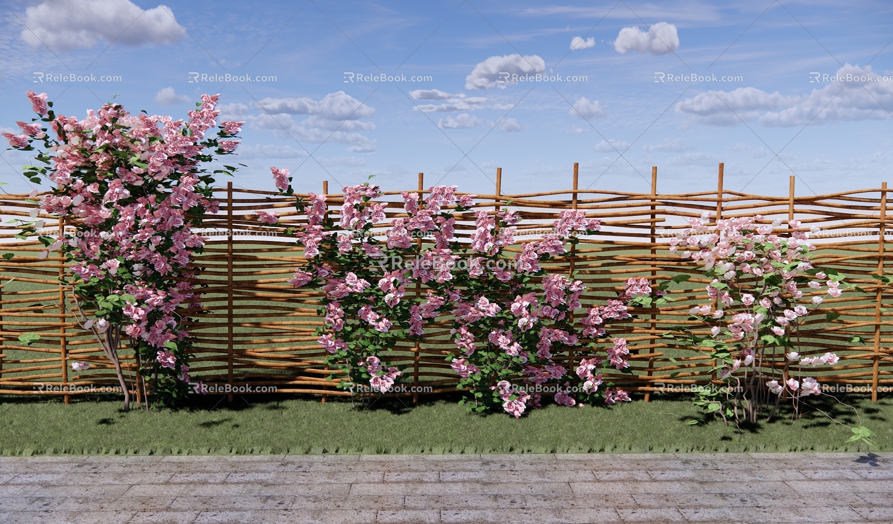 Garden vine flower plant rose rose rose bush bamboo fence model