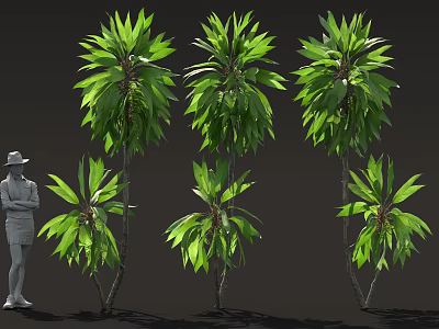 Green Leafy Plants In Various Heights With Human Figure For Size Comparison 3d model