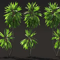 Green Leafy Plants In Various Heights With Human Figure For Size Comparison