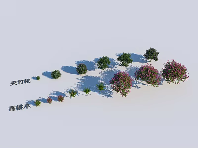 Different Shrub Species Including Oleander and Myrtle for Garden Landscaping 3d model