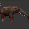 Adult Elephant With Gray Brown Skin And Long White Tusks Standing On Dark Background