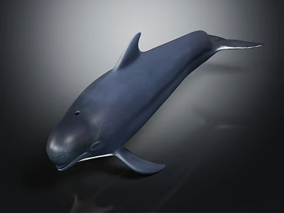 Sleek Dark Blue Dolphin With Smooth Skin Swimming In Deep Ocean Water 3d model