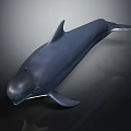 Sleek Dark Blue Dolphin With Smooth Skin Swimming In Deep Ocean Water