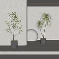 Modern Indoor Bonsai Potted Plants With Green Foliage In Gray Planters And White Decor