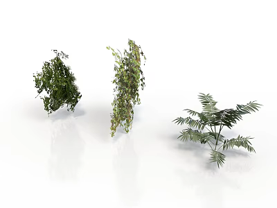Three Different Green Plants With Hanging And Bushy Foliage On White Background 3d model