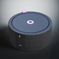 Round Smart Electronic Speaker With Dark Gray Grill And Pink Top Accent
