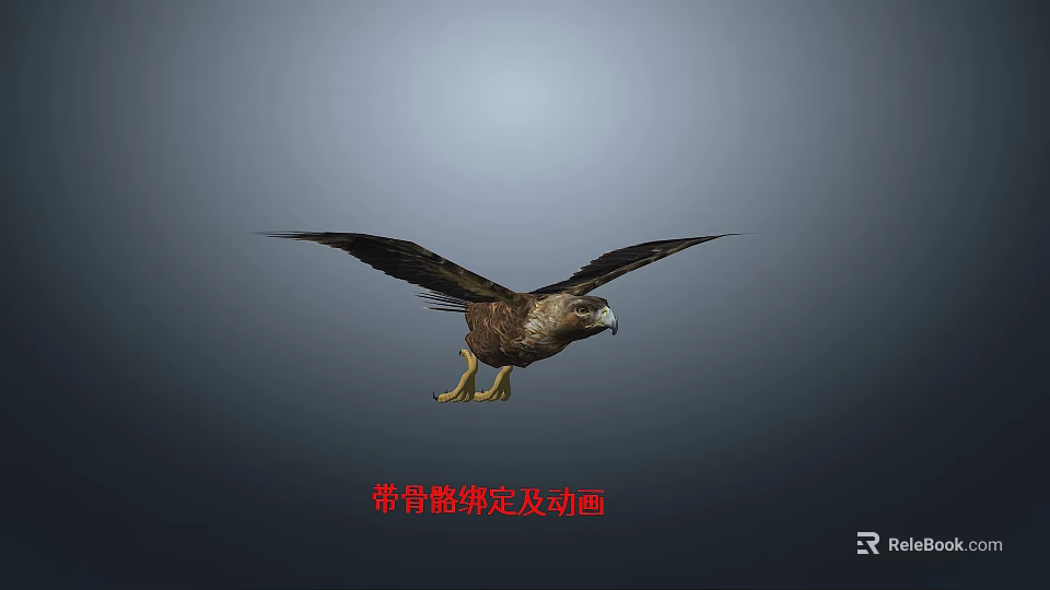 Detailed Eagle 3D Model With Skeleton Rigging And Flying Animation Pose 3d model 