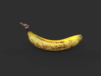Ripe Yellow Banana With Brown Spots Isolated On Black Background 3d model