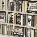 Books And Magazines On Shelf With Varied Colors And Designed Spines Neatly Arranged