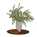 Decorative White Vase with Green Foliage on Wooden Table with Red Apples