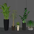 Bonsai Potted Plants In Various Types With Different Pots On Wooden Floor Against Gray Wall