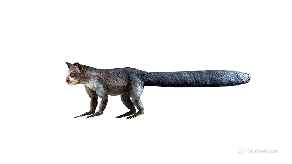 Gray Mammal With Long Tail And Pink Eyes Standing Isolated On White 3d model 