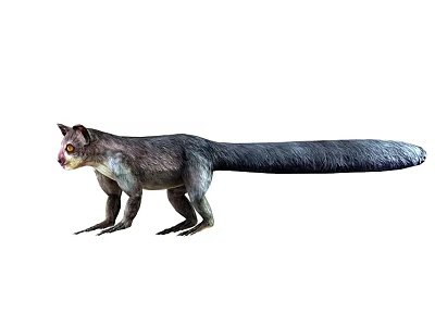 Gray Mammal With Long Tail And Pink Eyes Standing Isolated On White 3d model