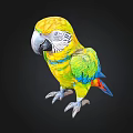 Colorful Parrot With Yellow Head Green Wings And Vibrant Feathers On Black Background