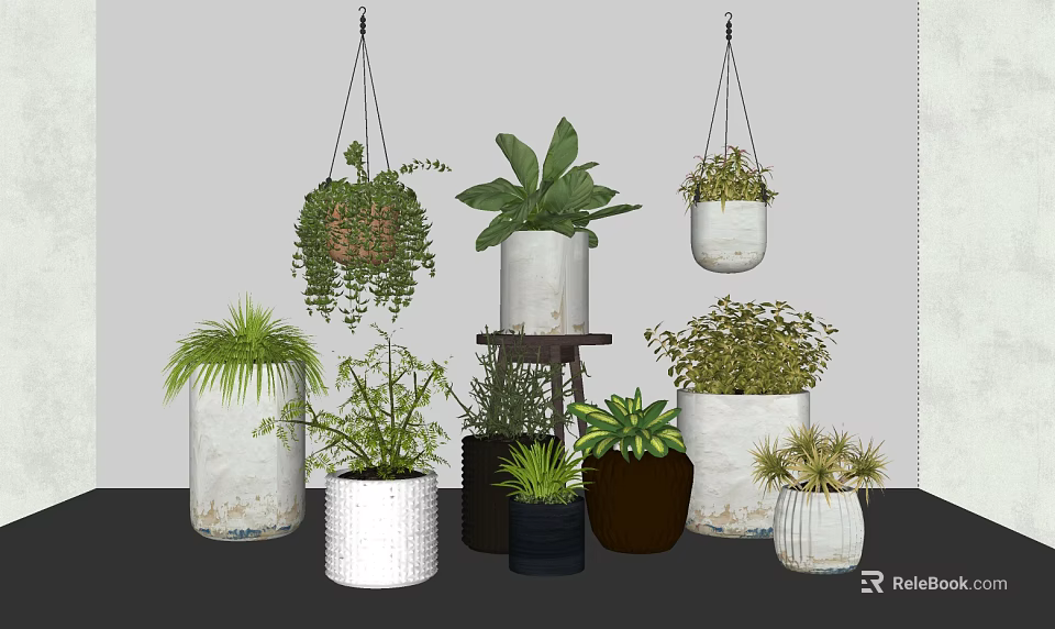 Bonsai and Potted Plants Display with Hanging Planters Ceramic Pots and Various Greenery 3d model 