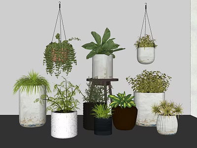 Bonsai and Potted Plants Display with Hanging Planters Ceramic Pots and Various Greenery 3d model
