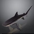Striped Purple Shark 3D Rendered Full Body View On Gray Background