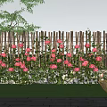Wooden Garden Fence Adorned With Pink Roses And Green Grass Under Blue Sky