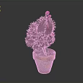 Vibrant Red Leaf Cactus Plant With Pink Flowers In Colorful Terracotta Pot