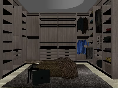 Modern Spacious Walk-in Closet With Wooden Shelves Drawers Hanging Rods Carpet And Small Table 3d model