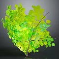 Green Decorative Plant With Lush Yellow Green Leaves And Branch Support Structure