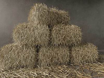 Stacked Dry Hay Bales In Rural Farm Setting With Scattered Straw 3d model
