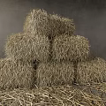 Stacked Dry Hay Bales In Rural Farm Setting With Scattered Straw