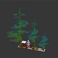 Three Different Height Pine Trees With White Silhouette On White Base Against Black Background