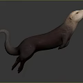 Otter in Standing Posture with Brown Body and Light Colored Head on Gray Gradient Background 3d model