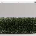 Living Plant Wall With Lush Green Foliage For Indoor Decorative Design