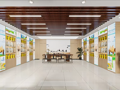 Modern Specialty Store With Wooden Ceiling White Walls Product Shelves Central Tables And Black Birds 3d model