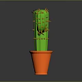 Green Cactus with Orange Spines Growing in Orange Pot on Dark Background