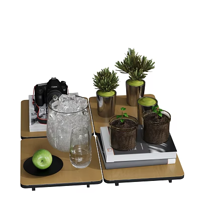 Modern Ornaments Combination Water Cup Fruit Ice Green Plant Potted Books Camera 3d model