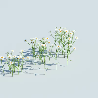 Modern Flowers Flowers Flowers and Grasses Small Flowers and Grasses 3d model