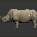 White Rhinoceros Standing Against Dark Background With Detailed Skin Texture And Horns