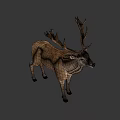 Brown Deer With Large Antlers Standing Against Black Background 3d model