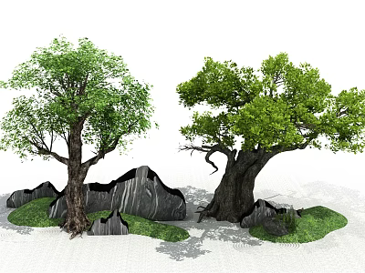 Tall Arbor Trees With Lush Green Foliage Natural Rock Formations And Grass 3d model