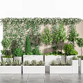 Bonsai Potted Plants With Trees Greenery In White Rectangular Planters On Floor Green Vine Wall 3d model