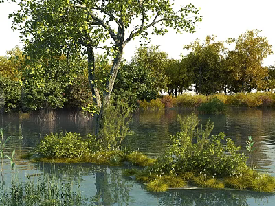 Garden Landscape With Water Area Green Trees Bushes And Natural Reflections 3d model