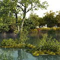 Garden Landscape With Water Area Green Trees Bushes And Natural Reflections