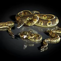 Golden Spotted Snakes Coiled On Reflective Black Surface With Yellow Patterns 3d model