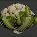 Fresh Whole White Cauliflower With Green Leaves Healthy Vegetable On Dark Background