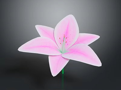 Beautiful Pink Lily Plant With Fresh Pink Petals And Red Stamens 3d model